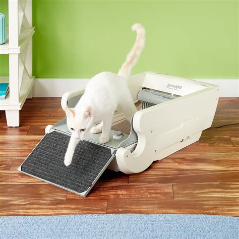 best electric litter box for multiple cats|self cleaning kitty litter box.